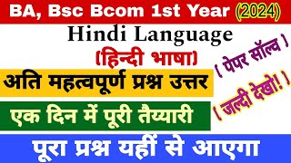 BA Bcom Bsc 1st Year Hindi Paper Solved 2024 Hindi Language Important Questions Hindi ques ans [upl. by Niwred]