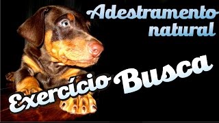 Curso Adestramento natural  44  quotBUSCAquot [upl. by Paff]