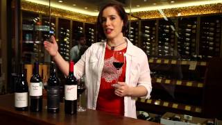 Pinot Noir Merlot Cabernet Sauvignon Shiraz Syrah  Red Wine Guide [upl. by Rossing]