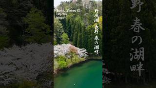 Spring Shores  Lake Nojiri Nagano 野尻湖 長野 春の湖畔 [upl. by Obidiah]