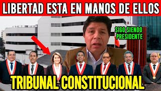 🔴TRIBUNAL CONSTITUCIONAL DECIDE LIBERTAD DEL PRESIDENTE PEDRO CASTILLO LIMA PERÚ🔥ASÍ FUE RECORDAR [upl. by Darin]