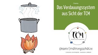 Das Verdauungssystem aus Sicht der TCM [upl. by Anilah935]