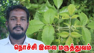 நொச்சி இலையின் அதிர்ச்சியூட்டும் மூலிகை பயன்கள்  Nochi Ilai  நொச்சி இலை மருத்துவம் [upl. by Burnight287]