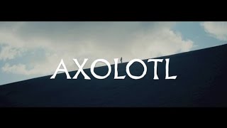 The Veils  quotAxolotlquot ft ElP Official Music Video  Pitchfork [upl. by Nevak]