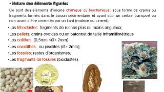 Pétrographie des roches sédimentaires  roches sédimentaires chimiques et biochimiques carbonatées 1 [upl. by Annael]