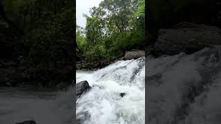 Chinchoti waterfall hiddengems waterfall hiddenwaterfalls cliff chinchotiwaterfall palghar [upl. by Kentigerma]