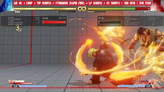 SFV AE Ken New Combos day 2 535 dmg No crush counter [upl. by Hardner]