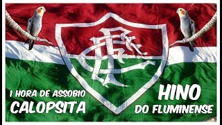 ASSOBIO CALOPSITA  HINO FLUMINENSE [upl. by Ardnait210]