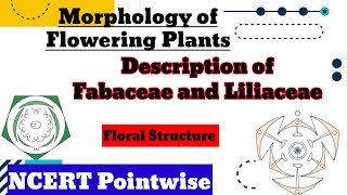 Floral Structure Morphology of Flowering Plants  Class 11 Biology NitinGourYt  NEET 202425 [upl. by Mara]