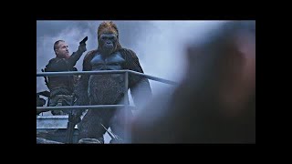 Red Donkey Saves Caesar  Death Scene  War for the Planet of the Apes 2017LOWI [upl. by Arammahs]