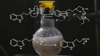 Dmt synthesis [upl. by Rodrick]