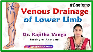 Venous Drainage of Lower Limb  Gross anatomy [upl. by Girand]