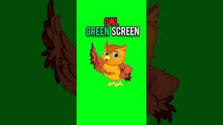 Owl green screen dailygreenscreen [upl. by Wendall]