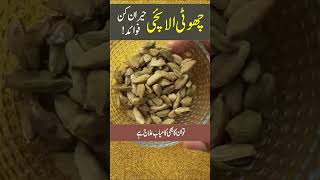 Sabz Elaichi ke Hairankun Fawaid  Cardamom Health Benefits in Urdu Hindi  Choti Elaichi ke Fayde [upl. by Hathcock]