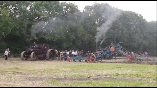 Steam Ploughing featuring Ex Richard Vernons Fowlers at Stotfold Mill Working Weekend October 2023 [upl. by Yhpos536]