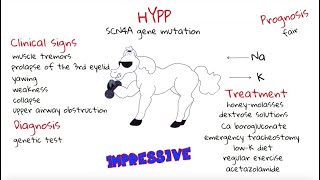 Hyperkalemic periodic paralysis  Vet students [upl. by Byrom]