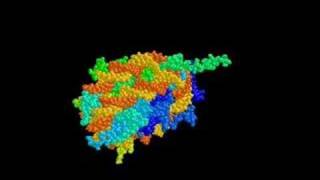 nucleosome [upl. by Demmy]