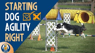 Dog Agility Training 3 Big Mistakes All Dog Owners Should Avoid 114 [upl. by Eelirol166]