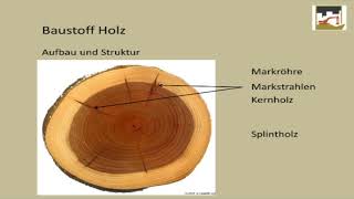 Die Vor und Nachteile für Holz als Baustoff [upl. by Romine134]