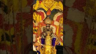 pournami garudasevai subscribe tirumala tamil telugu song keerthanas sub govinda tirupati [upl. by Hellman]