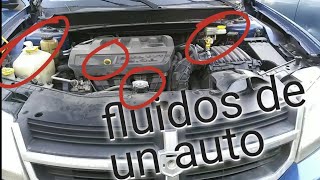 como revisar todos los líquidos o fluidos de un auto [upl. by Allistir]