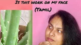 கற்றாழை  How to apply Aloe vera gel on face in tamil  Is this work [upl. by Tobey]