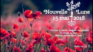 🌛🌚🌜 Guidance énergétique du 15 mai au 14 juin 2018  élaguer les projets pour avancer [upl. by Emmanuel951]