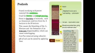 Podzol Soils [upl. by Paviour]