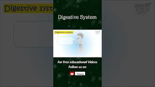 Human Digestive System  Alimentary canal  Gastrointestinal tract  Digestion  Nutrients  Science [upl. by Aydne]