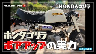 【GORILLA】ホンダ ゴリラ ボアアップの実力【HONDA】 [upl. by Martijn]