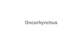 How to Pronounce quotOncorhynchusquot [upl. by Aneeled]