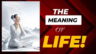 The MEANING of Life [upl. by Odnam386]