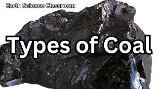 Sedimentary Rocks Types of Coal [upl. by Cole]