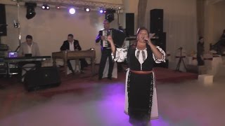 Nineta Popa Live Nunta 2016  Colaj Hore  Nunta Diana si Narcis Peste [upl. by Anek]