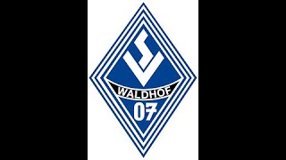 Vorbereitungsspiel TSG Hoffenheim II  SV Waldhof Mannheim  2Halbzeit [upl. by Adnamma810]