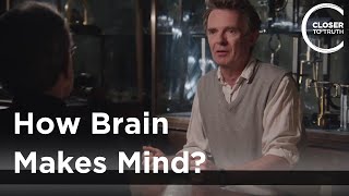 Galen Strawson  How Brain Makes Mind [upl. by Hawthorn339]