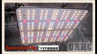 Vivosun VS1000 LED Grow Light First Look [upl. by Catherina]