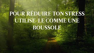 Comment réduire le stress et lanxiété Le stress est ta boussole interne [upl. by Nessnaj344]