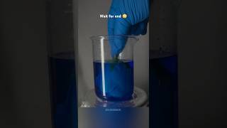 Experiment With Copper Sulphate 💙 shorts experiment [upl. by Ozne]