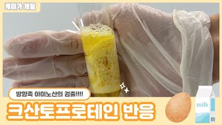 하또실 크산토프로테인 반응Xanthoproteic test 방향족 아미노산의 검출 단백질 검출 실험 [upl. by Aehr]