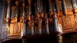 Bombardes of Albi Cathedral organ [upl. by Noami]