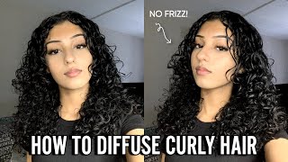 HOW TO DIFFUSE CURLY HAIR  No Frizz amp Quick for Beginners [upl. by Komarek]