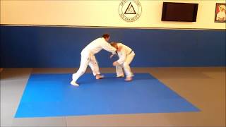 Standing Techniques Gracie Combatives [upl. by Acenom619]