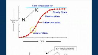 Population Ecology Part 2 [upl. by Esinal]