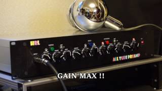 DIY alltubepreamp sound clip by PRS  McCarty  自作真空管ギターアンプ [upl. by Sirmons]