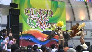 Cinco De Mayo 2014 Japan シンコ・デ・マヨ・フェスティバル 2014 東京会場 代々木公園 [upl. by Sweyn]