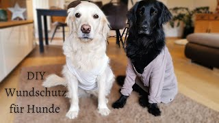 DIY Wundschutz – Leckschutz Liegeschwielenpolster oder Hundebody [upl. by Anekam]