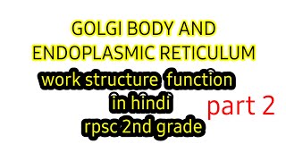 Golgi apparatus  endoplasmic reticulum  golgi body structure and functions cell structure in hindi [upl. by Abijah]