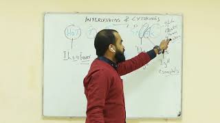 interleukins and cytokines high yields [upl. by Tertia]