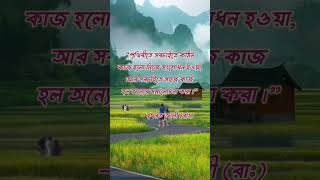 পৃথিবীর সবচেয়ে কঠিন কাজ হলো [upl. by Finer]